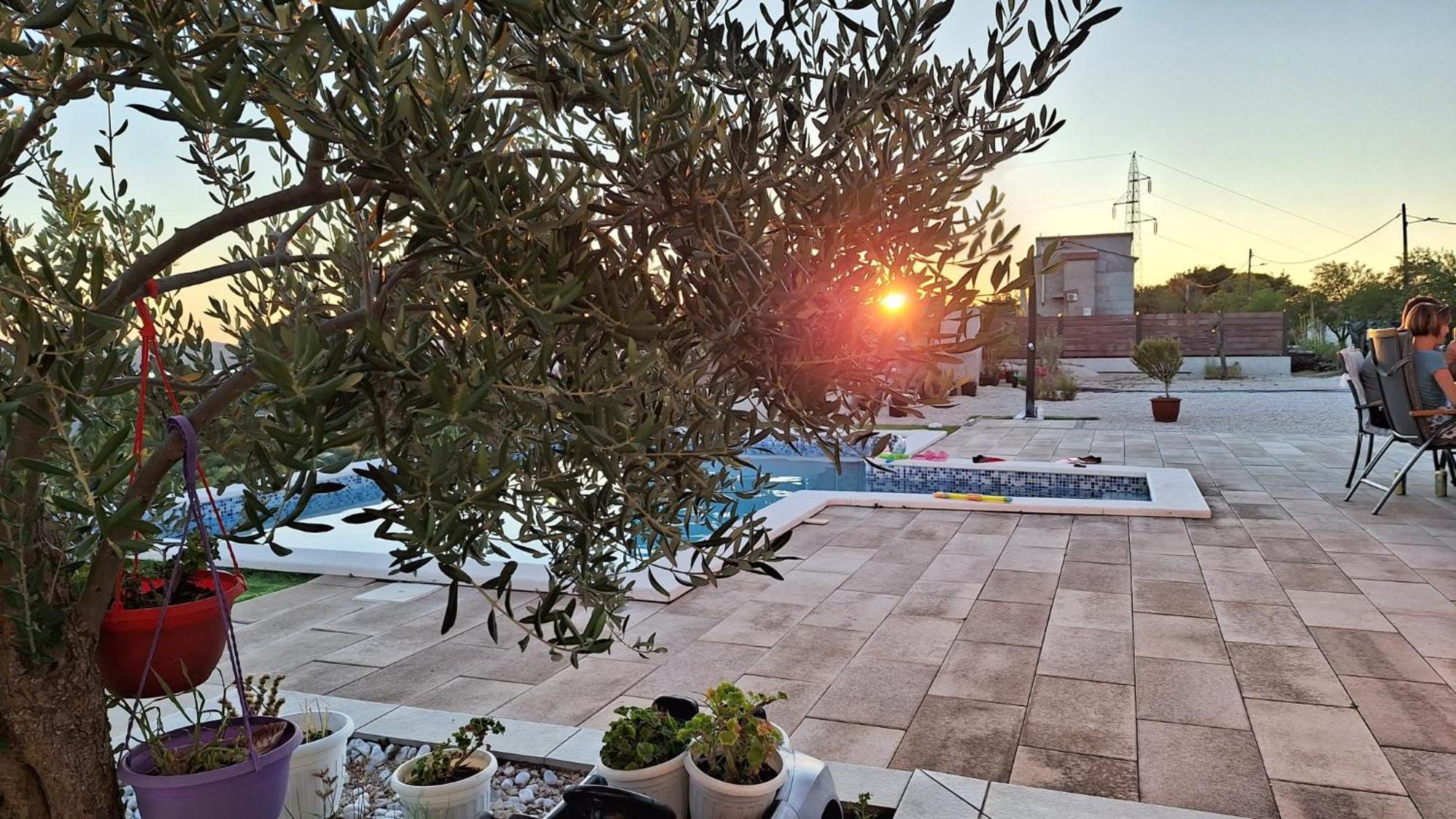 Villa Scolopax Rusticola Skradin With Heated Pool Ngoại thất bức ảnh